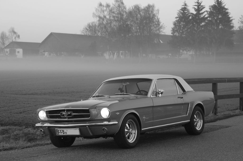 IMG_3904_grey_small2.jpg