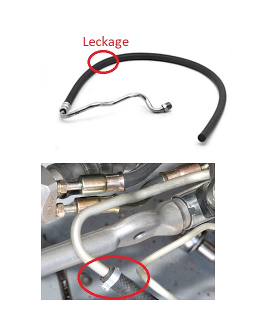 mustang5.jpg