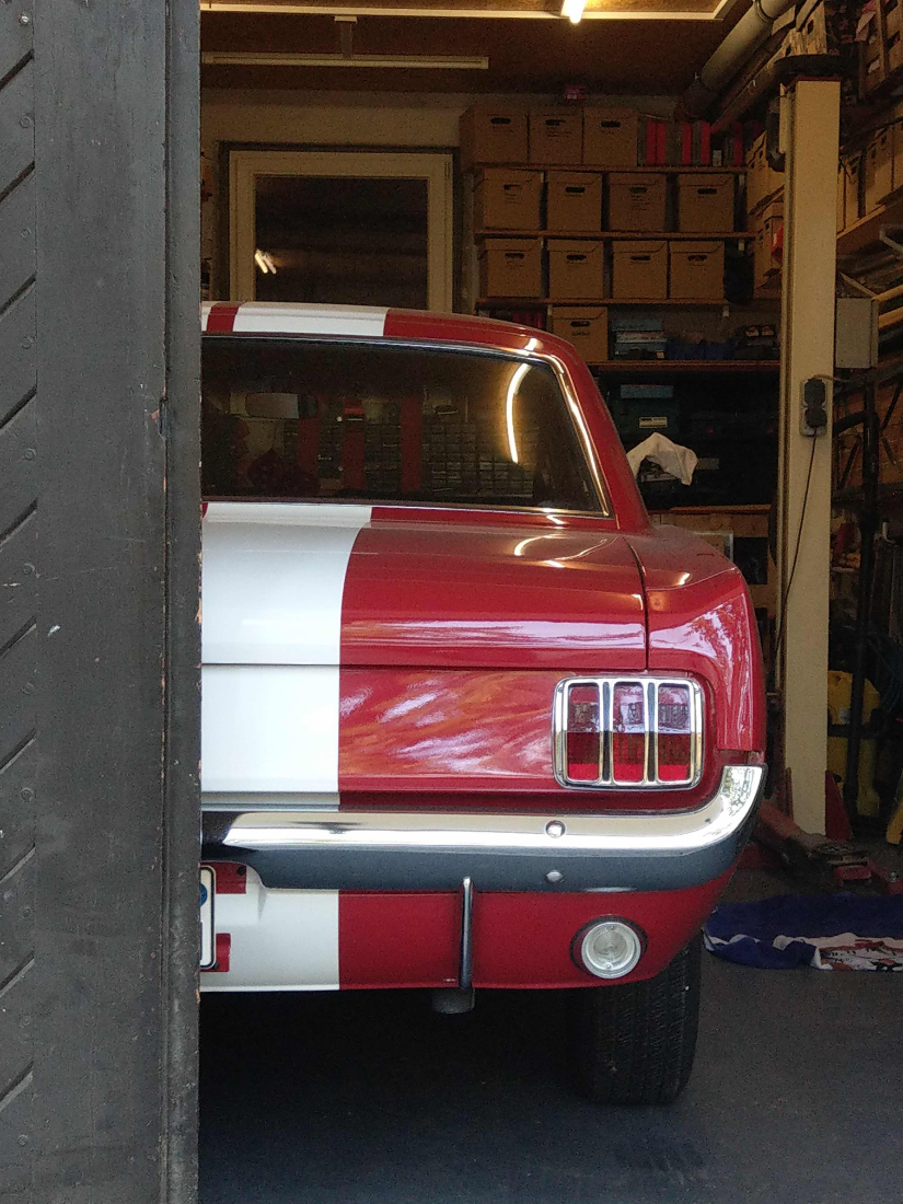 Mustang.jpg