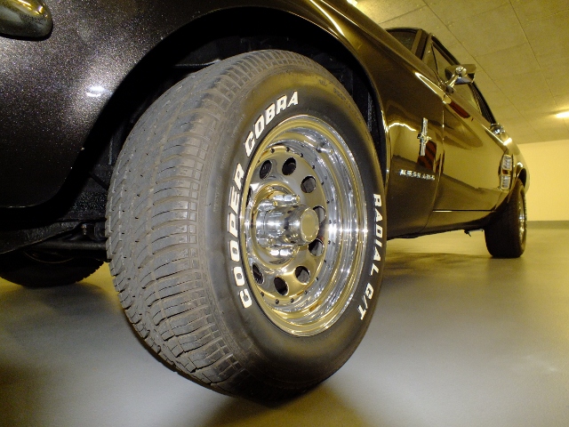 DSCF2729 (640x480).jpg