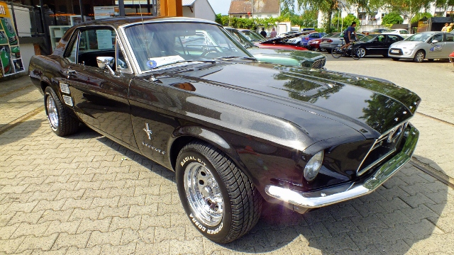 DSCF2799_bearbeitet-1 (640x360).jpg
