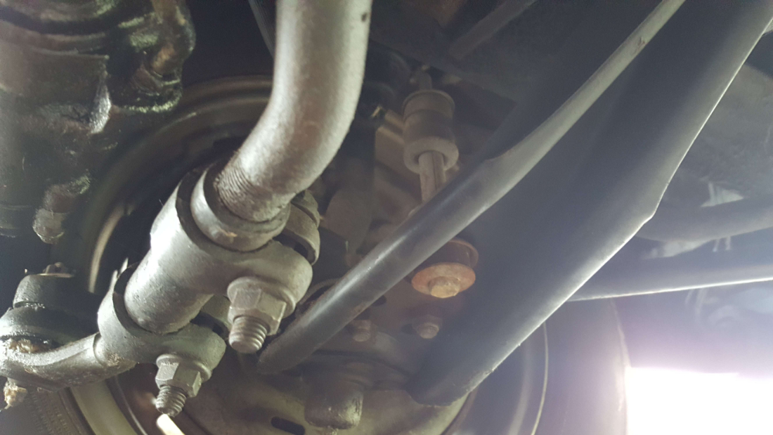 20190512_104201.jpg