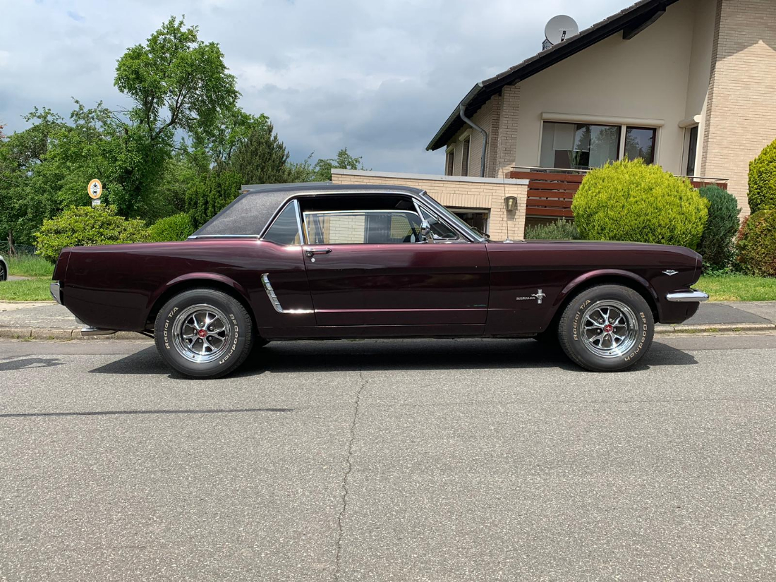 WhatsApp Image 2019-06-03 at 11.55.10.jpeg