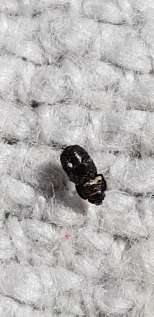 20190706_112817.jpg