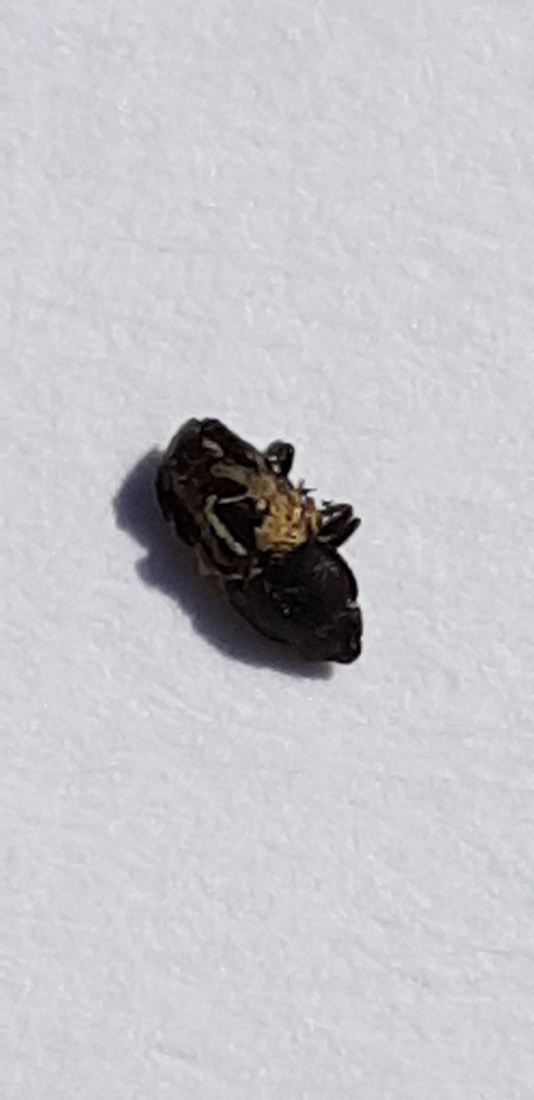 20190706_105112.jpg