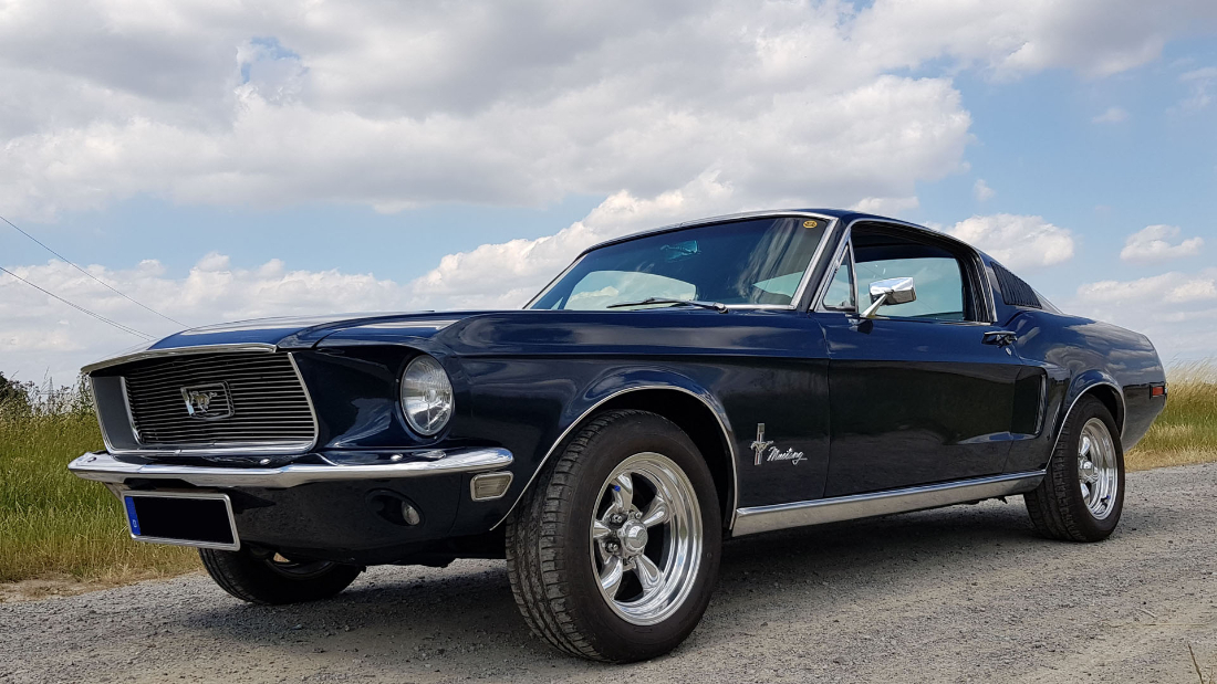 Fastback68_1.jpg