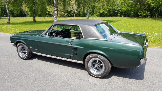 20190519_1343211.jpg