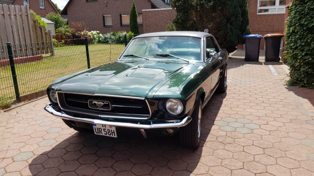 20190707_1334271.jpg
