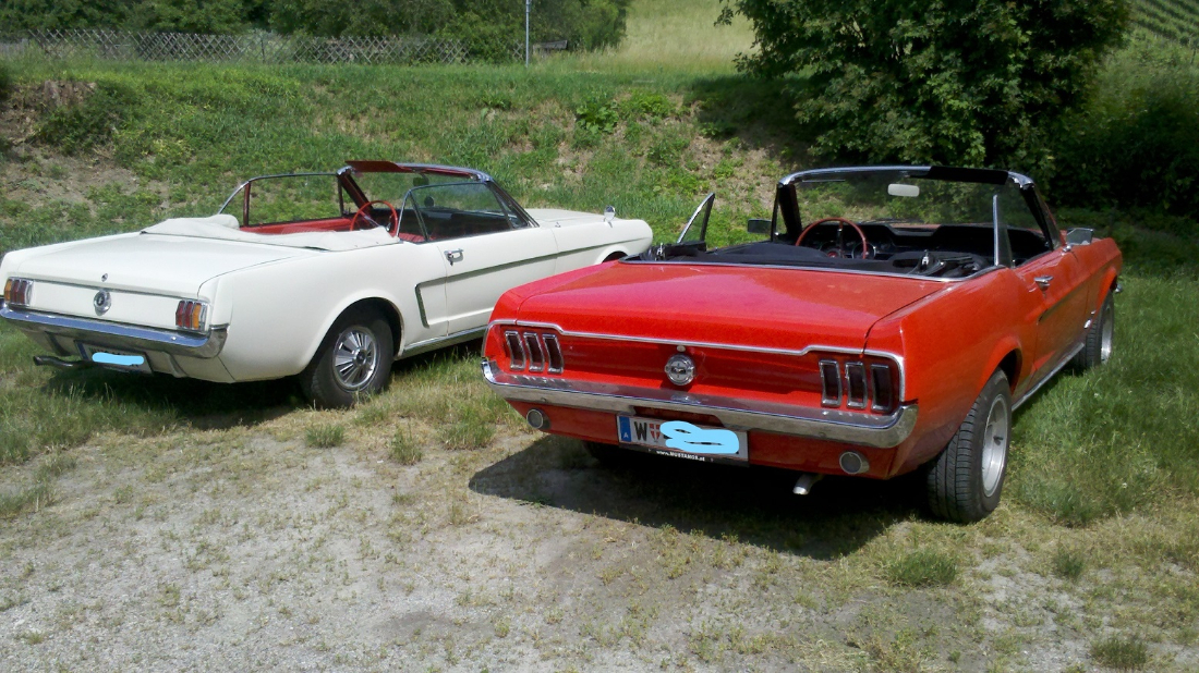 2013-06-22_15-01-07_530_LI.jpg