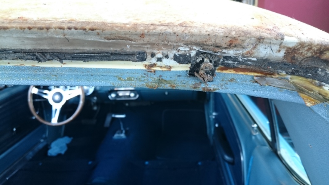 Klammer Zierleiste Heckscheibe