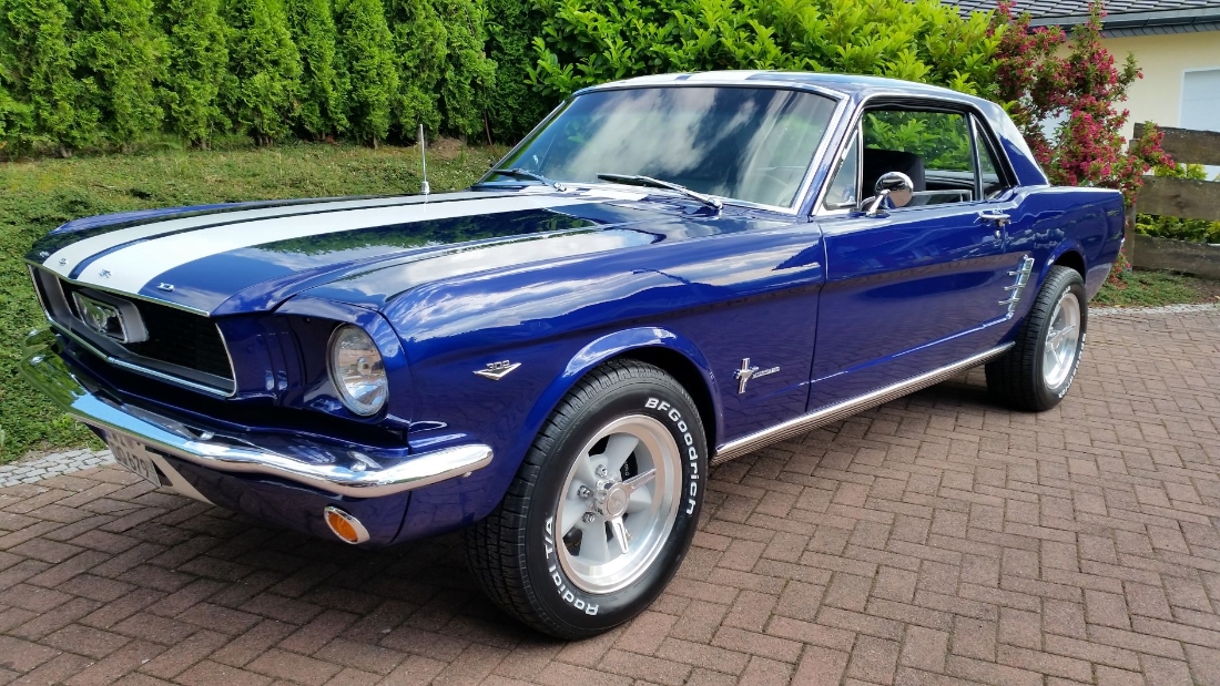 Mustang#2.jpg