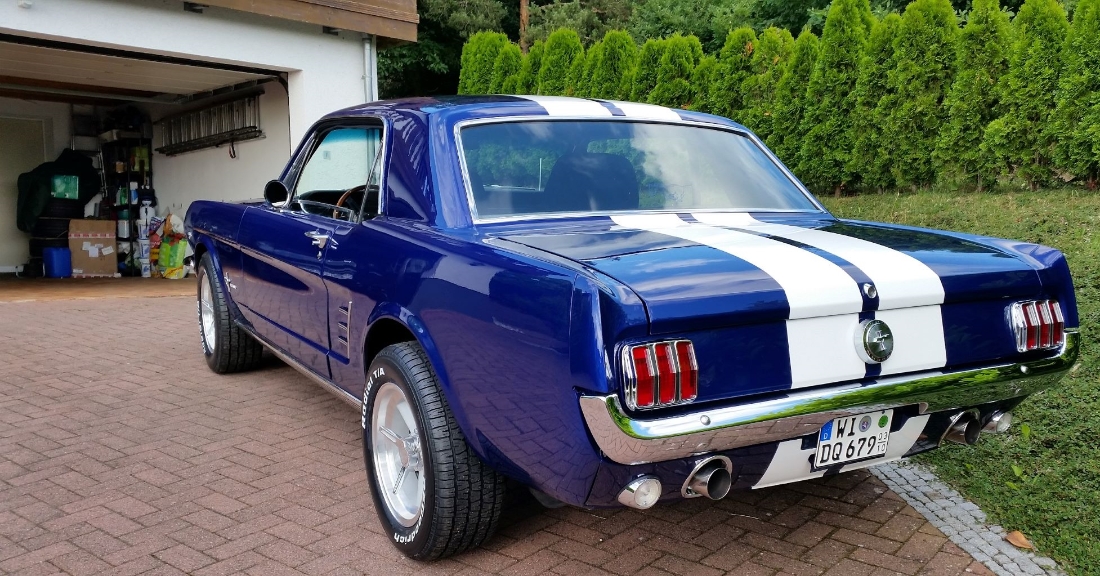 Mustang #3.jpg