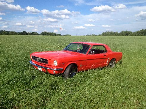 2013-08-03 17.53.42.jpg