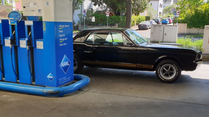 Mustang.jpg