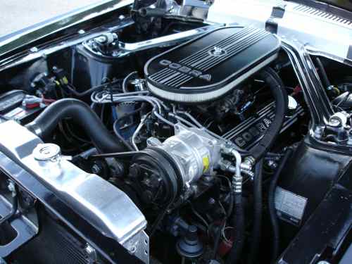 1st mustang IV.jpg