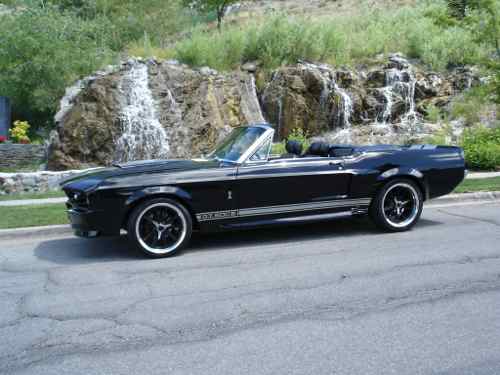 1st mustang VI.jpg