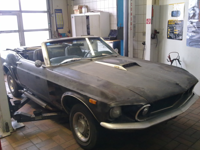 Mustang Bild klein.jpg