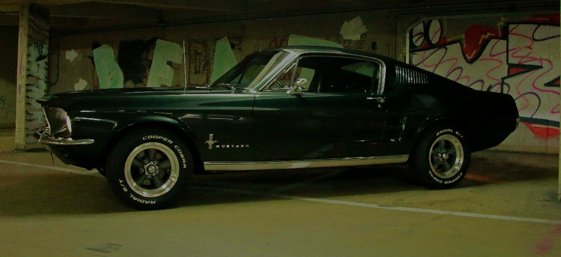 klein_Mustang.jpg
