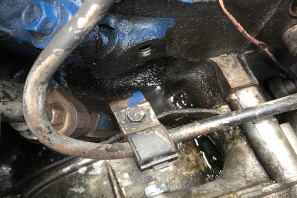 D271AEB0-7EBC-4260-8F3F-07069AF2A550.jpeg