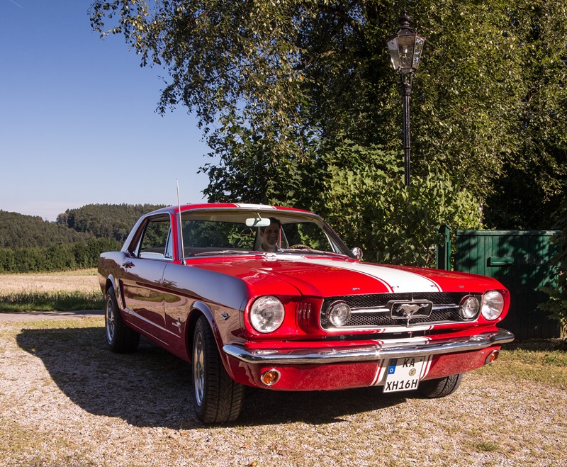Mustang-4-800.jpg