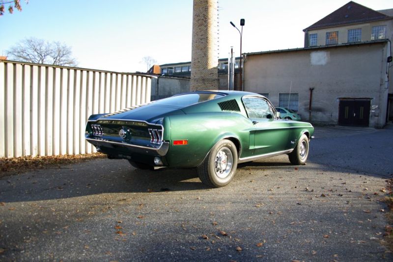 Mustang.jpg