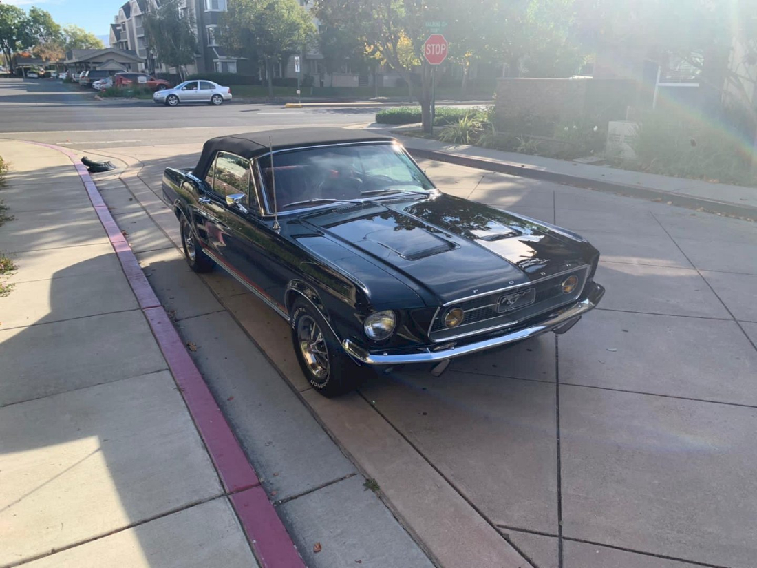 the new Pony