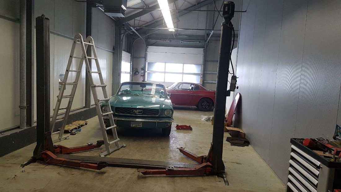 Mustang3.jpg