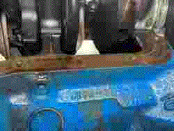 IMG_6593a.gif