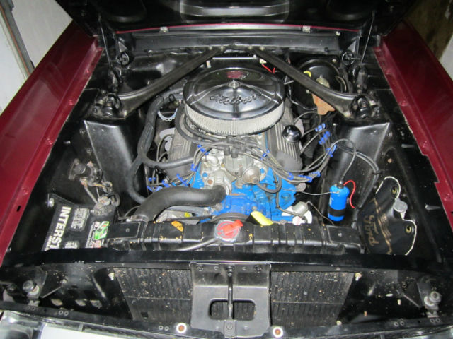 Mustang13.jpg