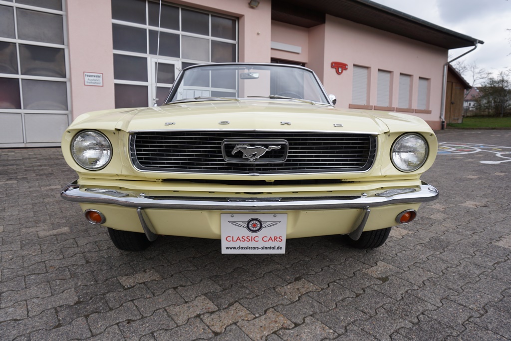 DSC05502.JPG