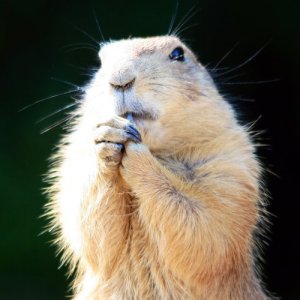 Daumen drücken-01.jpg