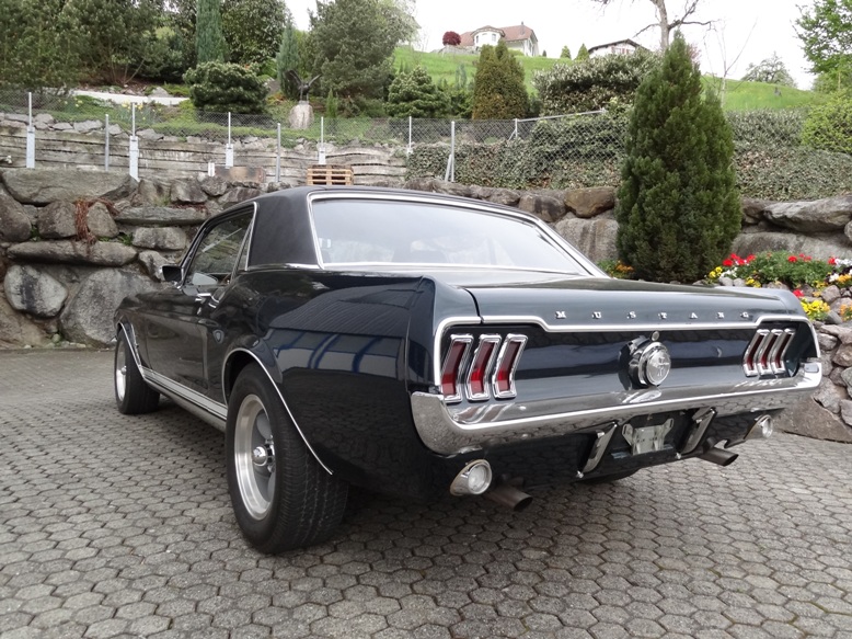 Mustang 003.jpg