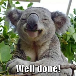 well-done.jpg