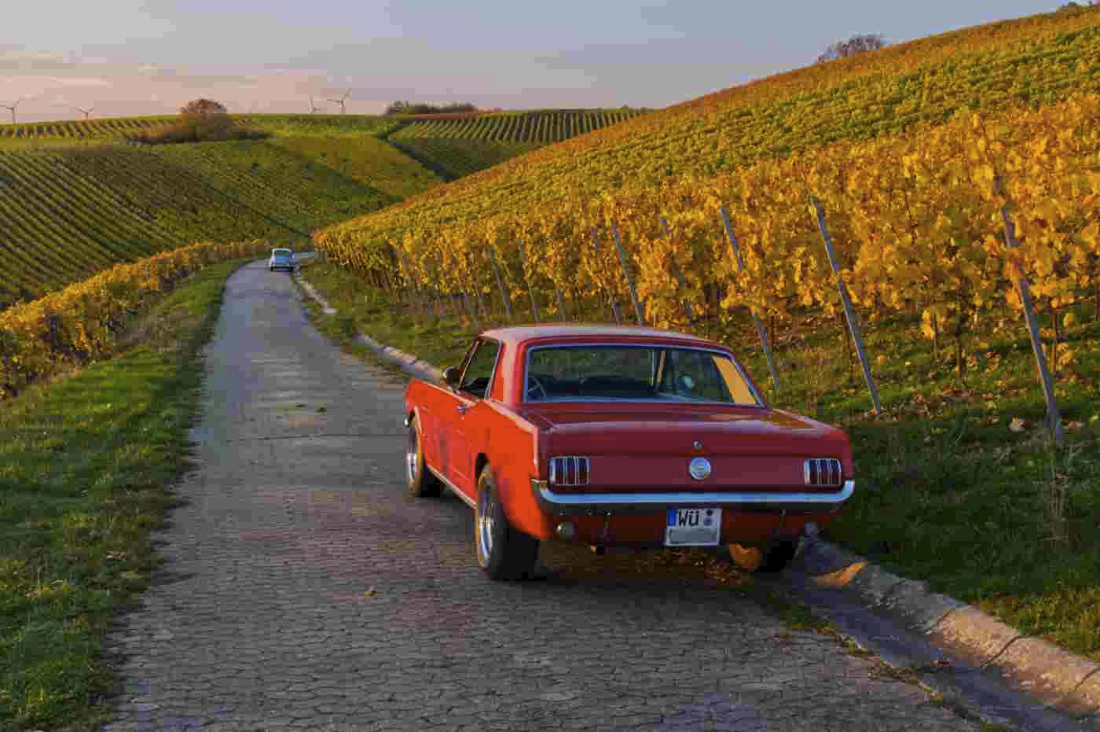 Mustang02.jpg