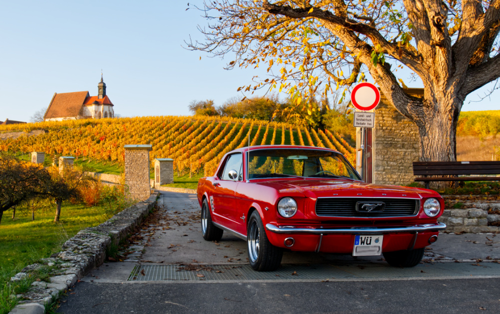 Mustang04.jpg