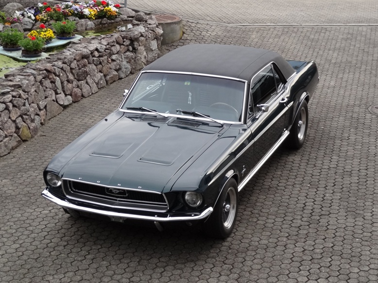 Mustang 006.jpg