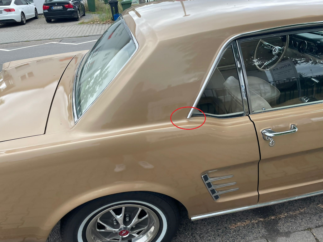 Mustang bearbeitet .jpg