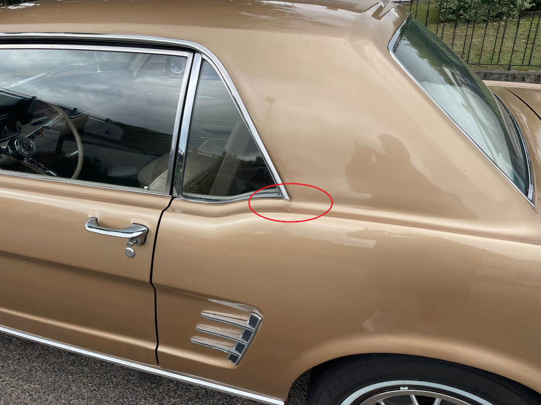 Mustang bearbeitet 1.jpg