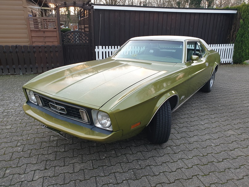 Mustang Grande 1.jpg