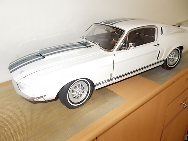 DSCN0010.JPG