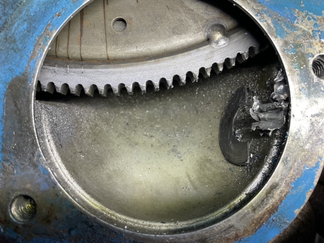 E49E0567-9EF6-4139-8E09-4AE65A5A3262.jpeg