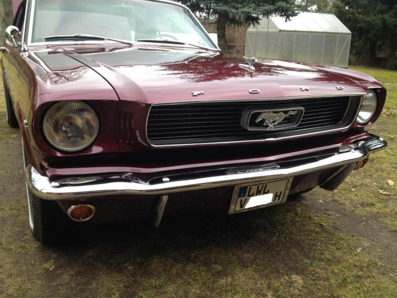 Mustang 233.jpg