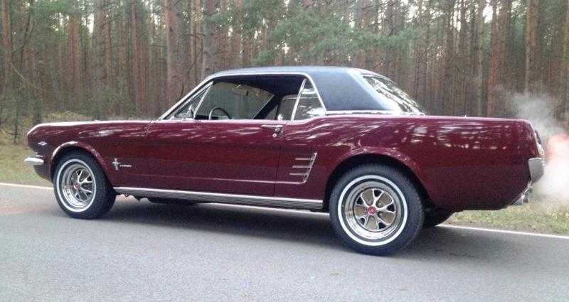 Mustang 248.jpg