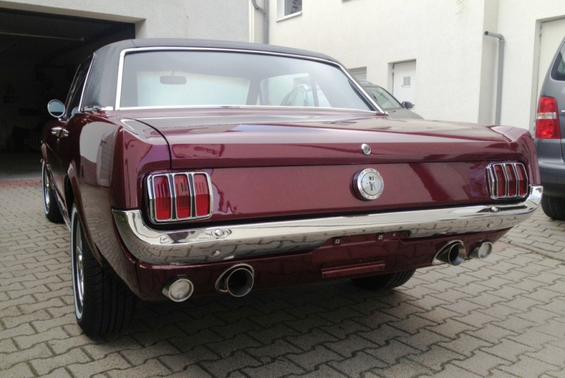 Mustang 204.jpg
