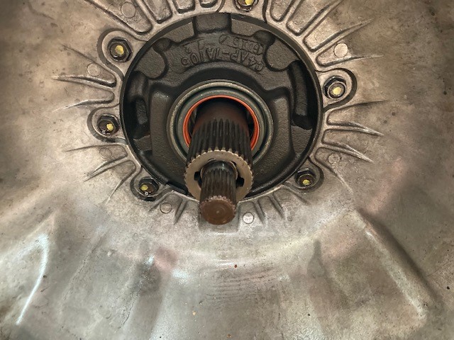 Glocke 2.jpg