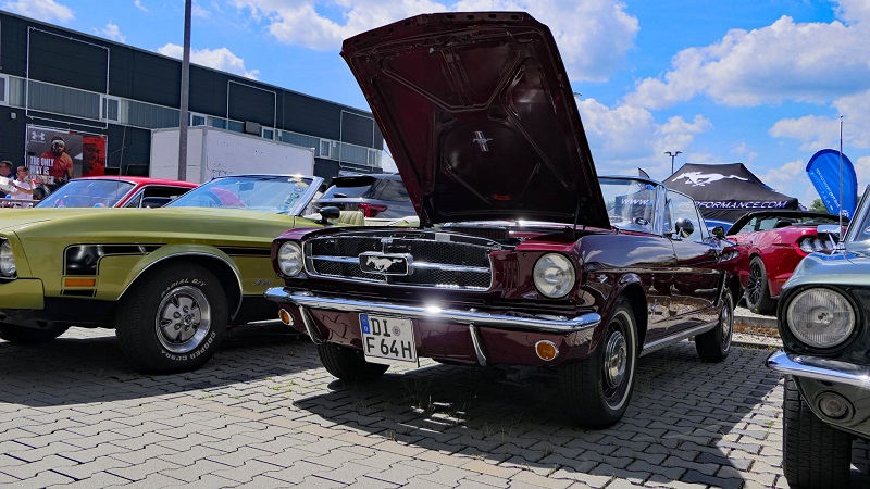 P1070307-1.JPG