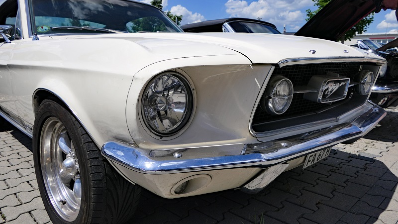 P1070312-1.JPG