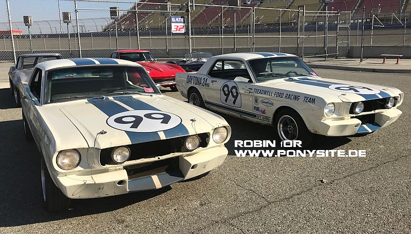 Robin_FVF_99mustangs.jpg