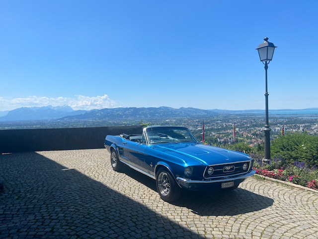 Burg Gebhardsberg Bregenz Österreich
