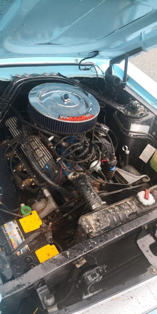 Da gibt es was zu tun